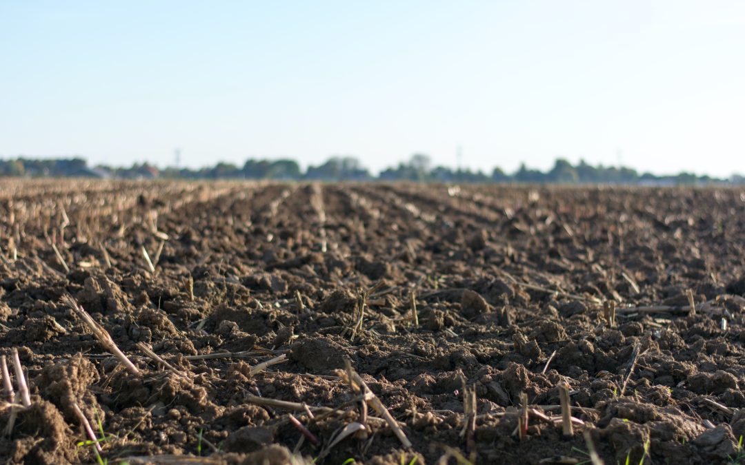 The Impact of the Land Reform Program on Human Rights in Zimbabwe