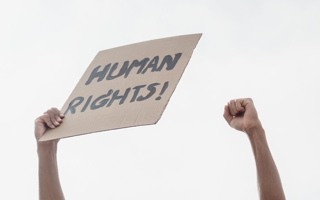 LGBTQ Rights in Zimbabwe: Challenges and Progress